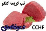 افزایش احتمال شیوع بیماری تب کریمه کنگو در فصل گرما